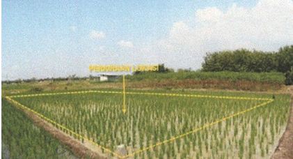 Kampung Pulo, Tambun Selatan, Bekasi